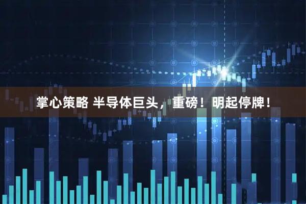掌心策略 半导体巨头，重磅！明起停牌！