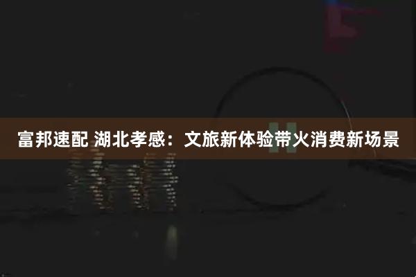 富邦速配 湖北孝感：文旅新体验带火消费新场景