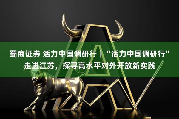 蜀商证券 活力中国调研行｜“活力中国调研行”走进江苏，探寻高水平对外开放新实践