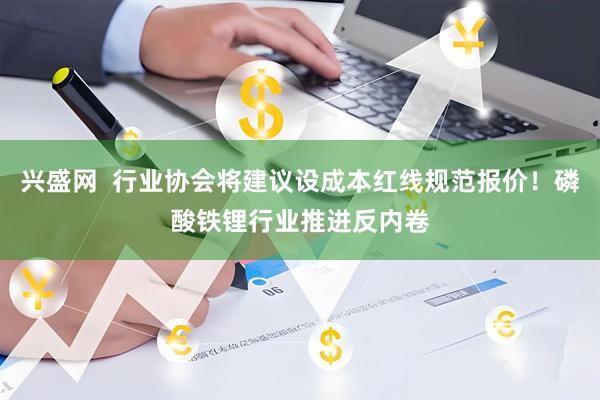 兴盛网  行业协会将建议设成本红线规范报价！磷酸铁锂行业推进反内卷