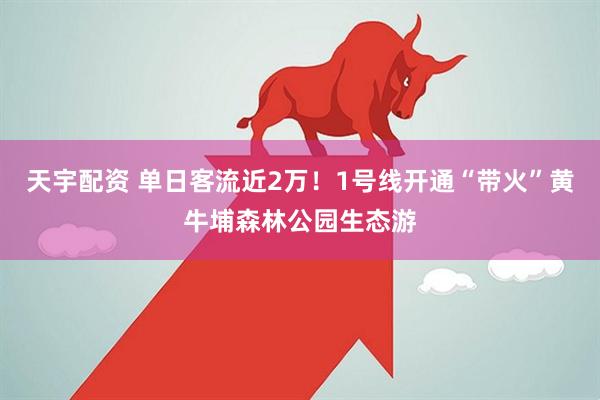 天宇配资 单日客流近2万！1号线开通“带火”黄牛埔森林公园生态游