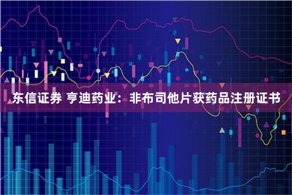 东信证券 亨迪药业：非布司他片获药品注册证书