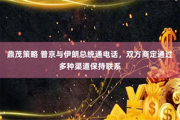 鼎茂策略 普京与伊朗总统通电话，双方商定通过多种渠道保持联系