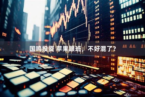 国鸣投资 苹果跟班，不好混了？